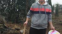 此去繁花似锦，归来仍是少年！